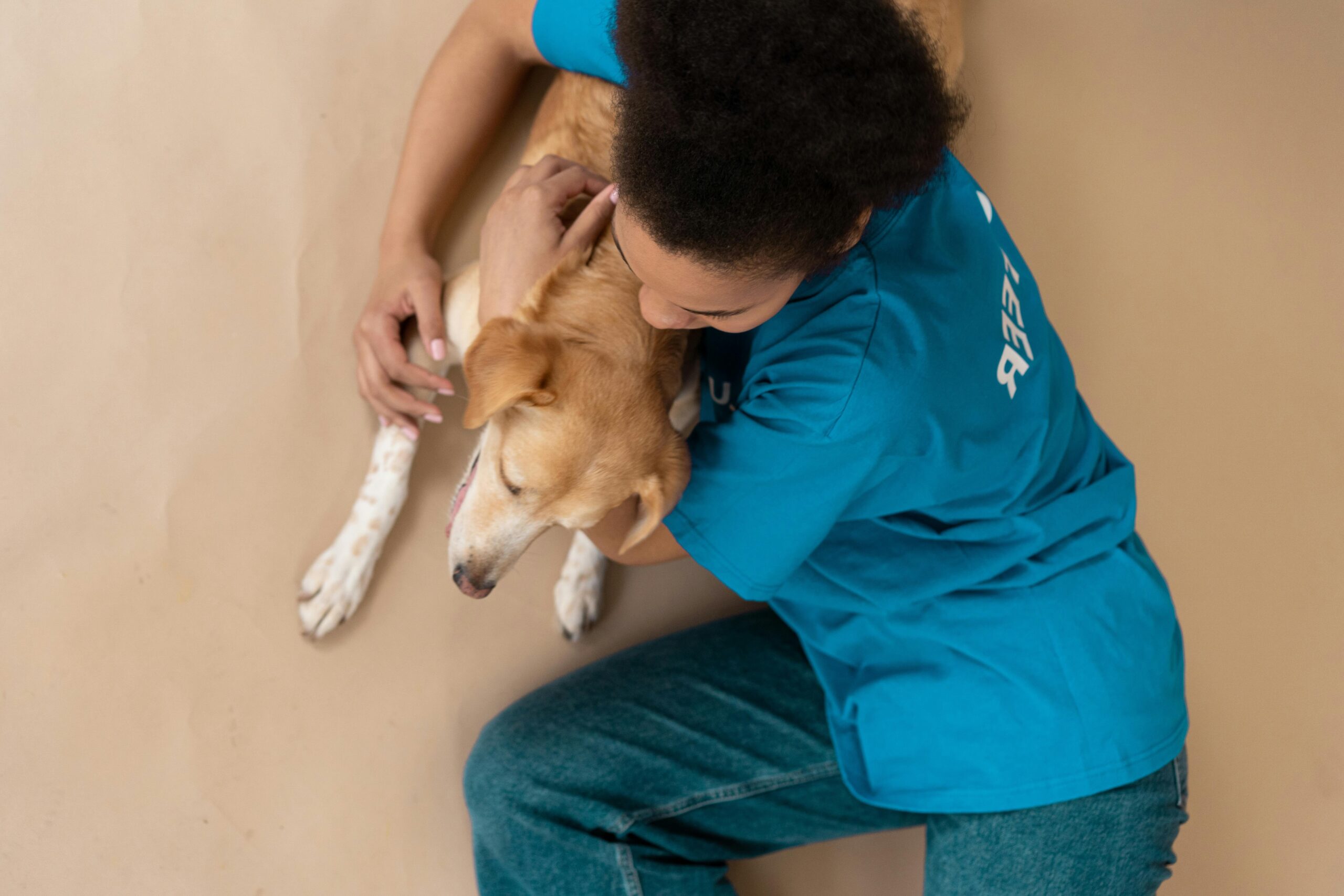 A golden retriever comforting someone on a couch