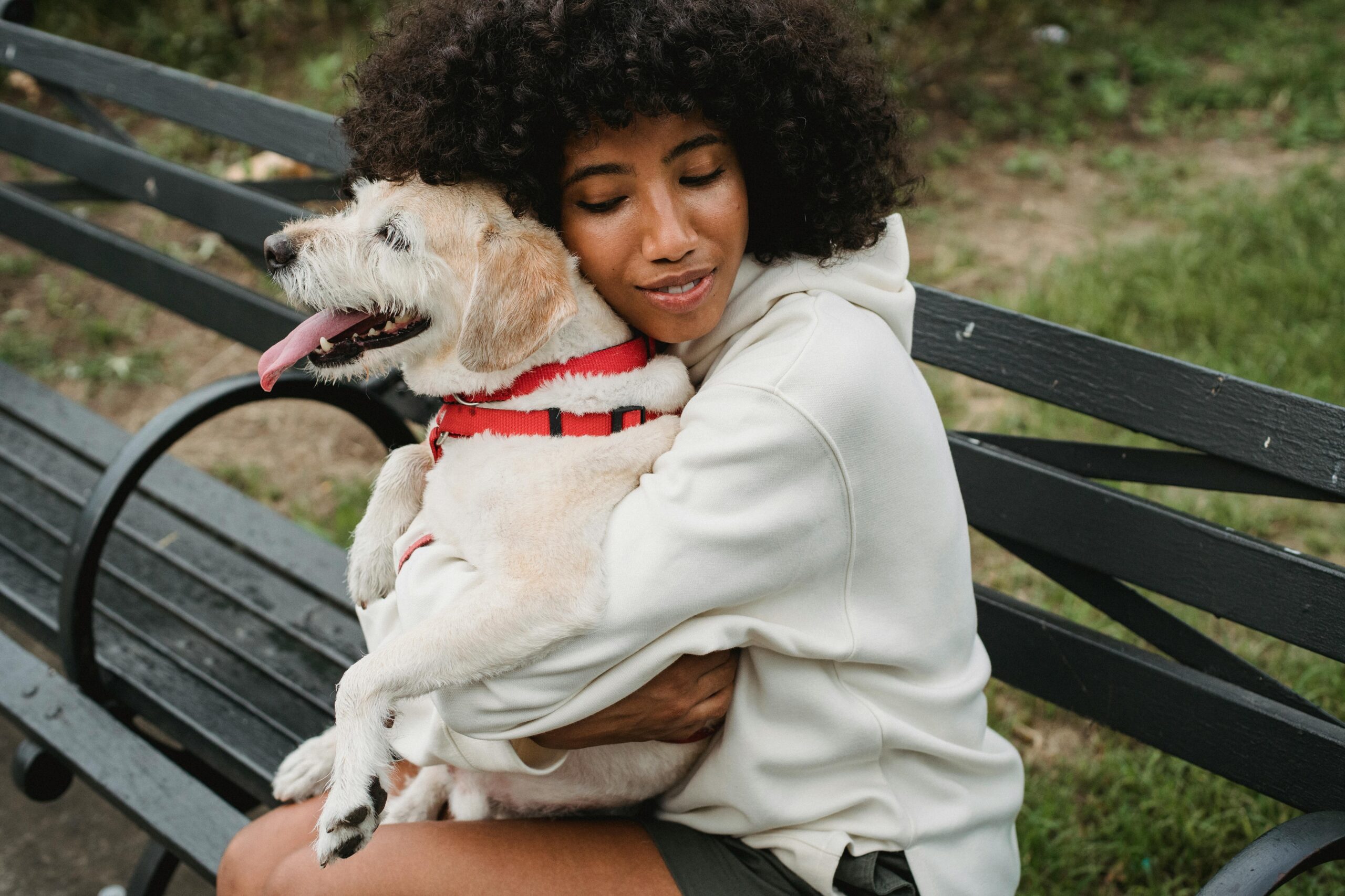 Emotional Support Dog Laws