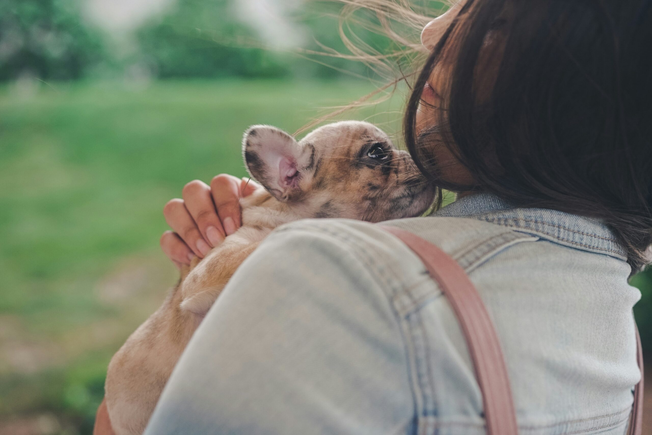 emotional support dog on leash