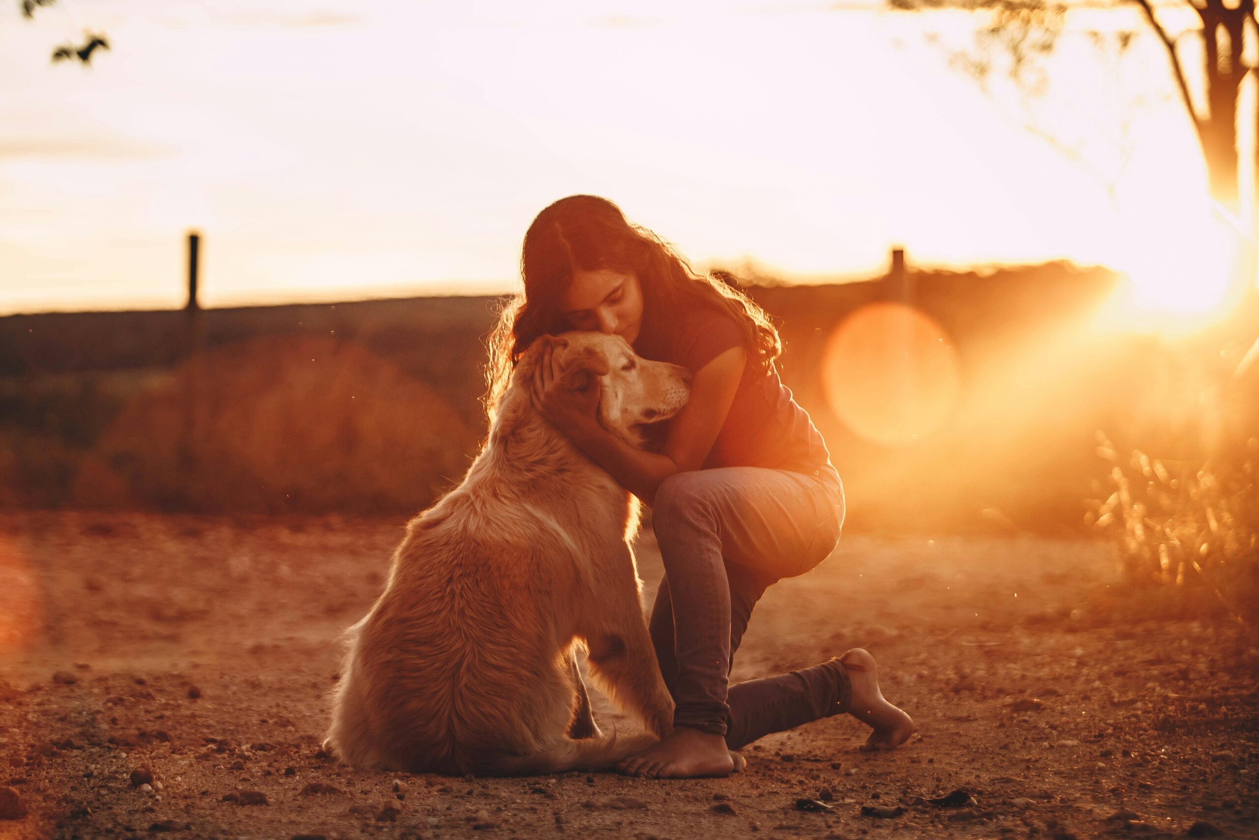 Emotional support dog undergoing obedience training outdoors