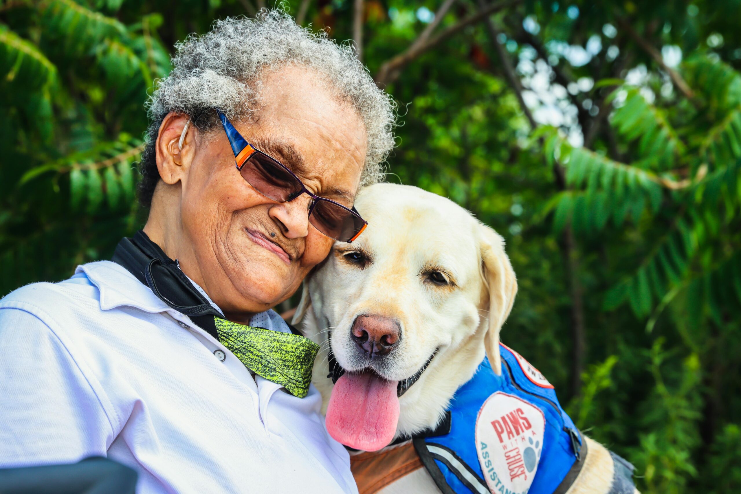 Emotional support dog wearing ESA vest