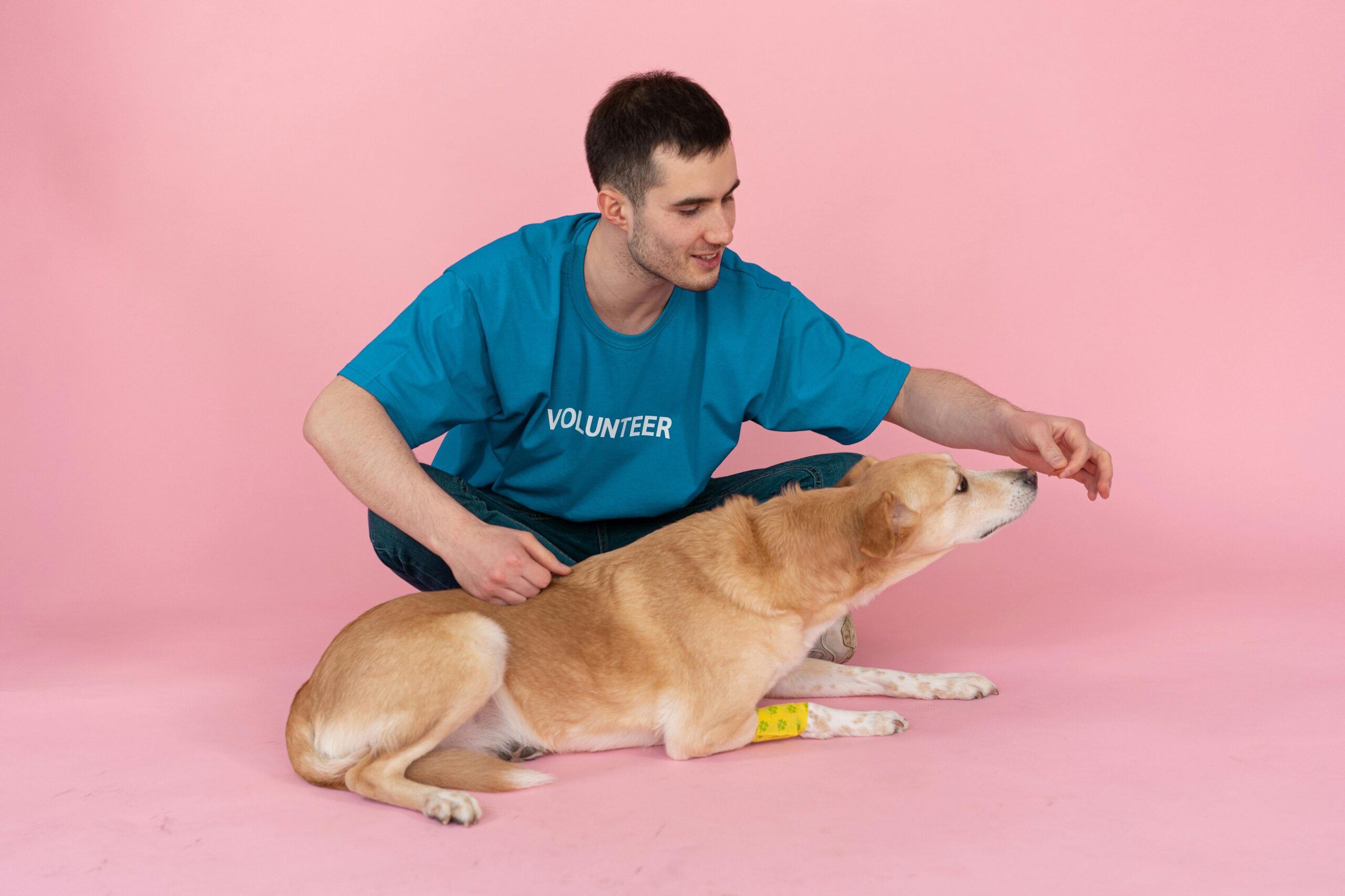Trainer giving a treat to a golden retriever for sitting correctly