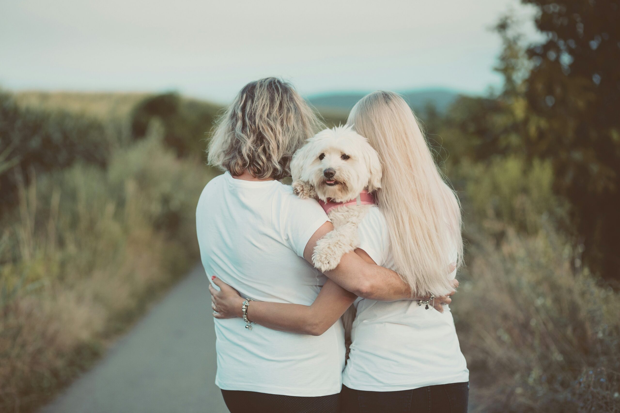 Calmness Exercises for Emotional Support Dog Training: Techniques to Build a Bond Like No Other