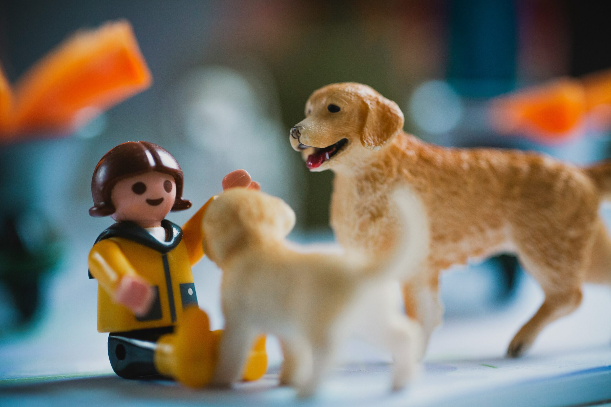 service dog working with handler