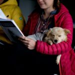 The Ultimate ESA Certification Process Guide: How to Train and Certify Your Emotional Support Dog