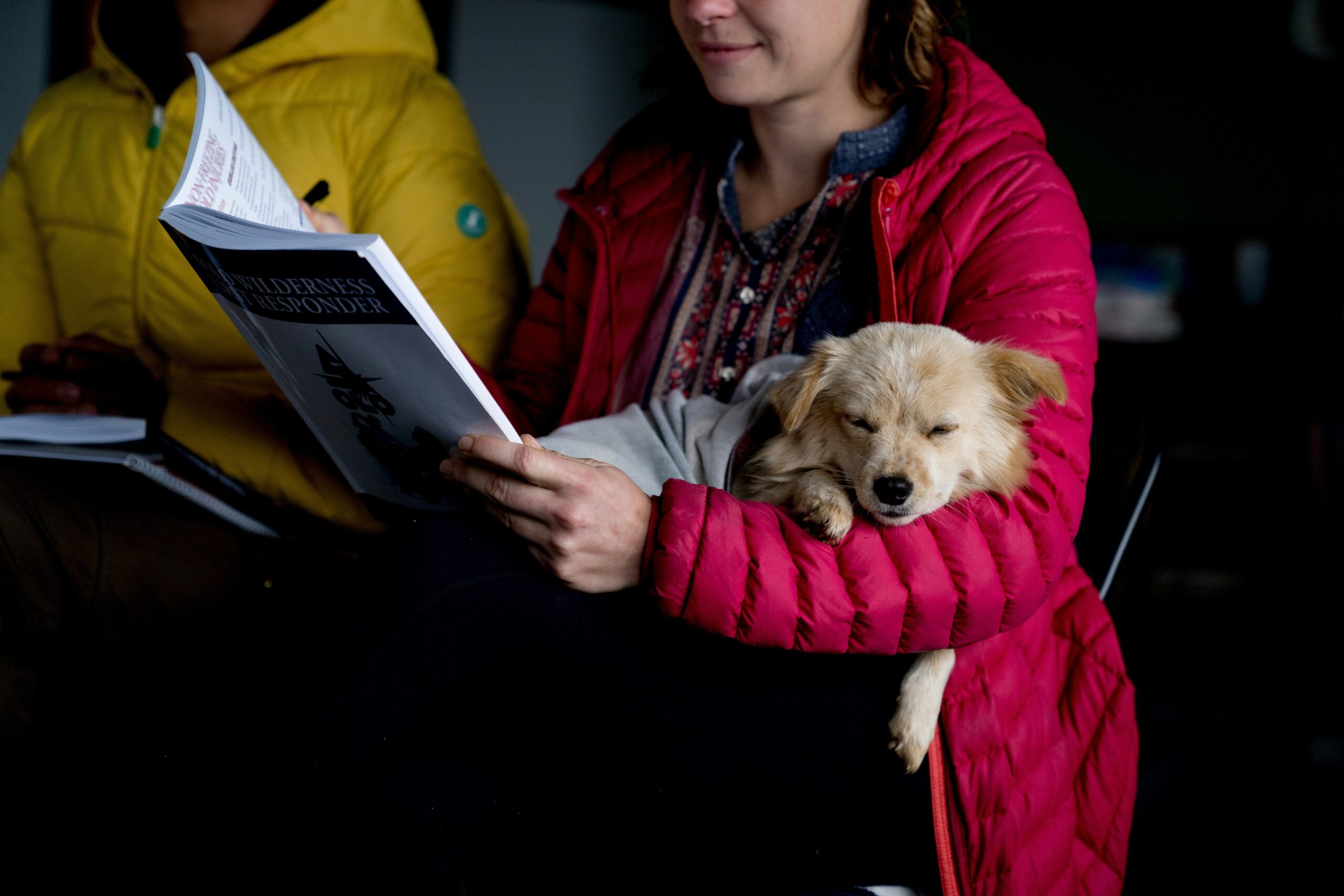 The Ultimate ESA Certification Process Guide: How to Train and Certify Your Emotional Support Dog