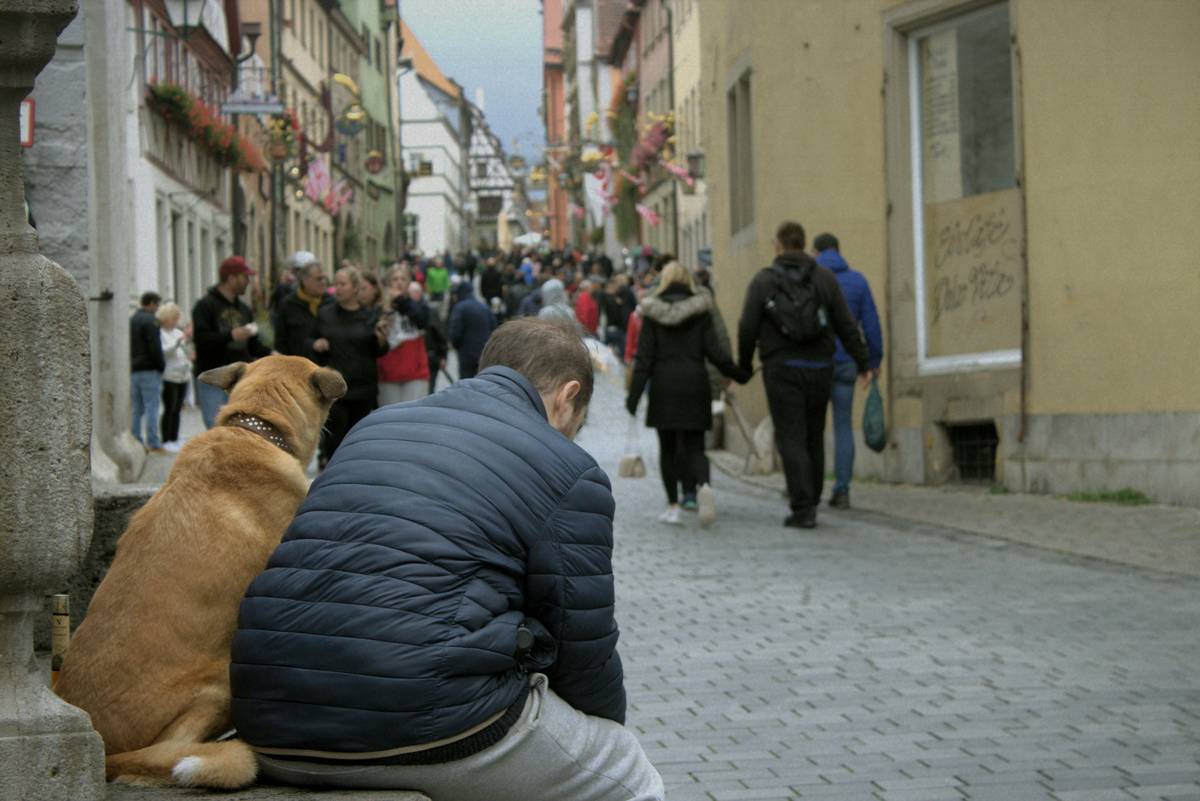 Illustration of steps involved in ESA training