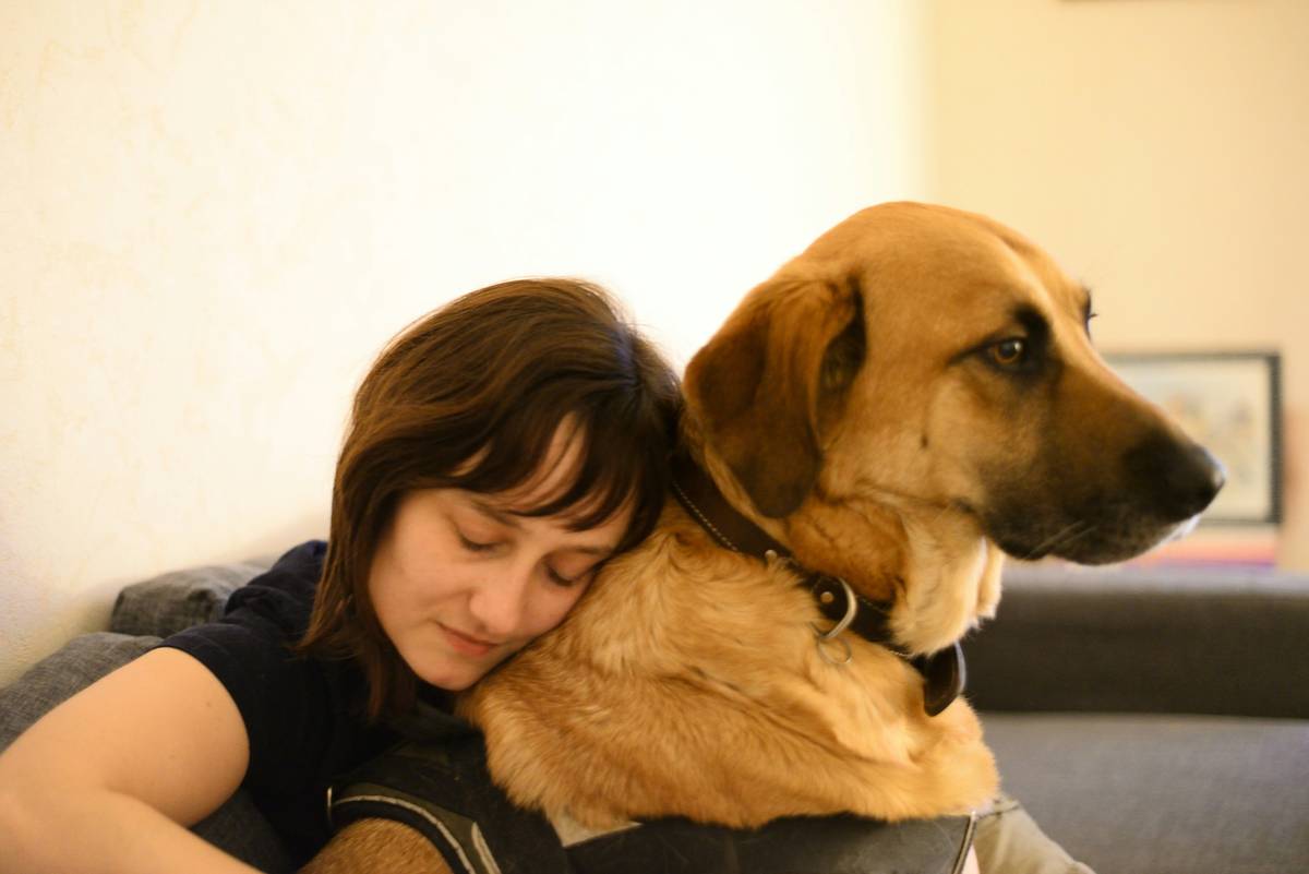 Mastering Dog Emotional Support Methods: Transform Your Companion Into a Therapy Hero
