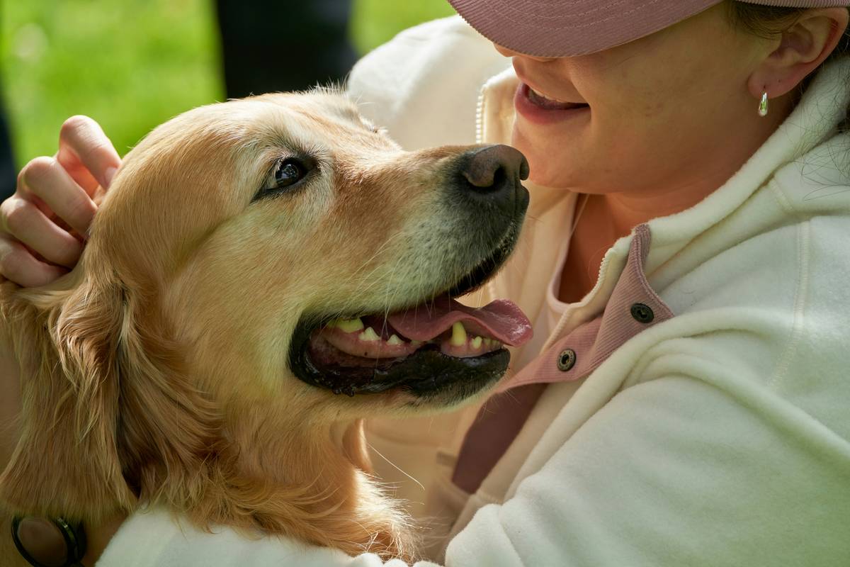 A person holding their emotional support dog while reading legal documents.