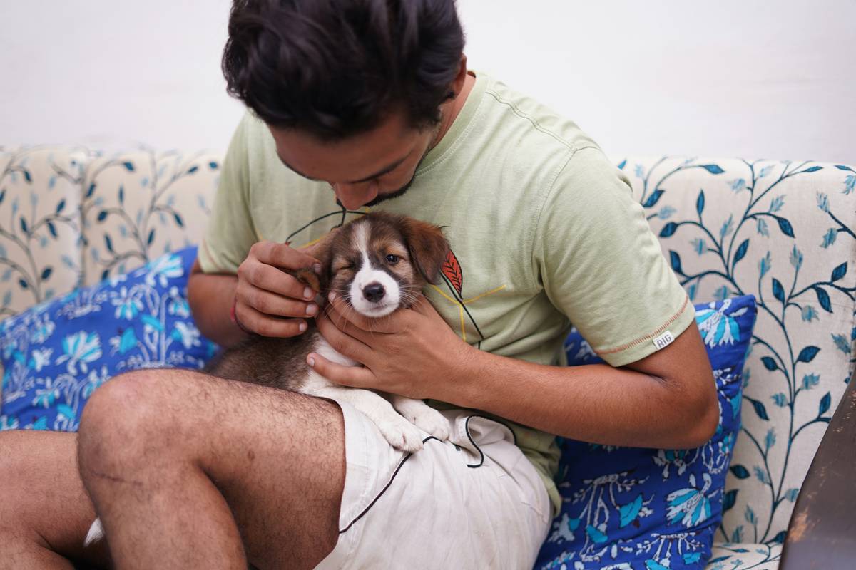 Emotional support dog sitting calmly next to owner indoors