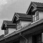 ESA Housing Compliance: How Emotional Support Dog Training Can Save Your Sanity